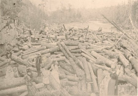 Log Jam at Dave's Falls