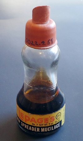 Bottle
