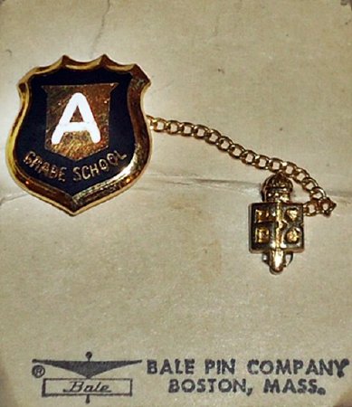 Amberg Grade School Pin
